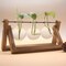Plants Propagation Stations Hydroponic Plant Transparent Vases Pot Home Decor